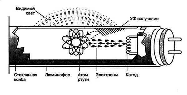Lampes fluorescentes, leurs avantages et leurs inconvénients | avantages et inconvénients