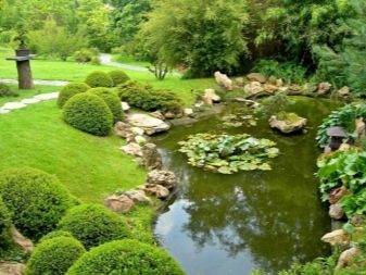 Nous fabriquons le drainage mural à la maison