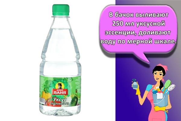 Comment nettoyer un humidificateur du tartre et de la moisissure à la maison : les meilleurs moyens + instructions de nettoyage