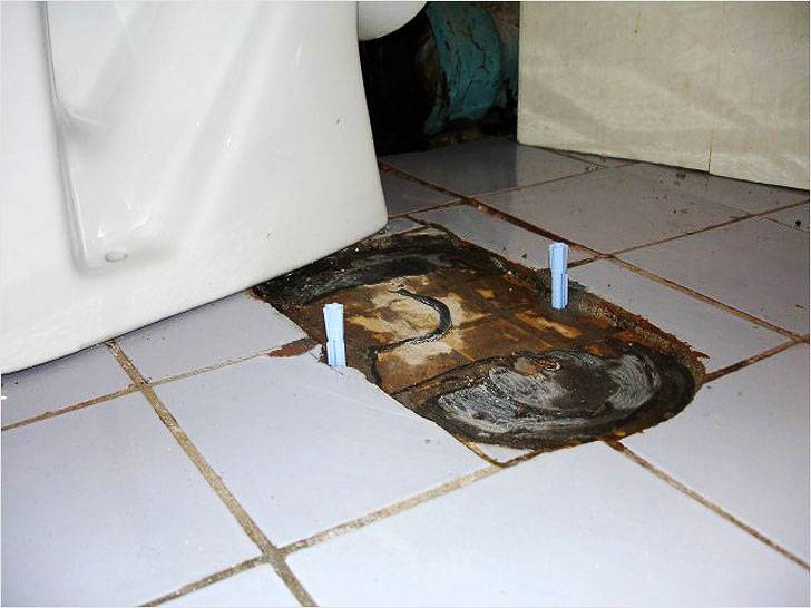 Comment fixer les toilettes au sol : tour d'horizon des subtilités techniques et des meilleures méthodes d'installation