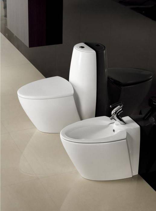 Comment choisir le bon WC pour un appartement : lequel est le meilleur pour une maison sans éclaboussures (+ vidéo)