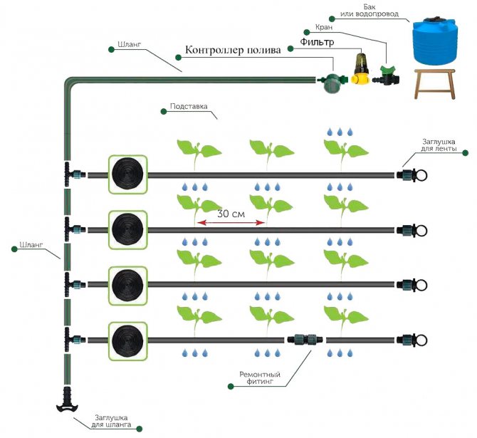 12 meilleures pompes goutte à goutte : Classement des meilleurs modèles sur le marché et conseils pour choisir