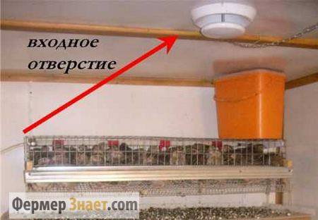 Comment faire un système de ventilation dans un poulailler