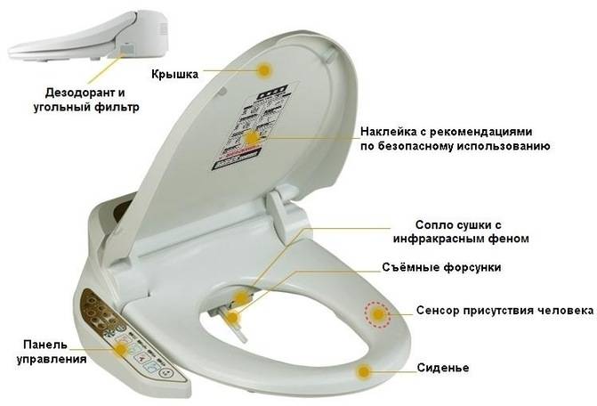 Comment choisir une toilette pour une maison et un appartement : un guide complet