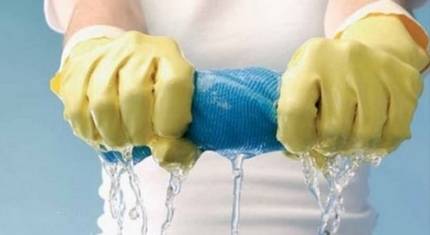 Moisissure noire dans la salle de bain : comment se débarrasser du champignon + des moyens efficaces pour combattre et prévenir