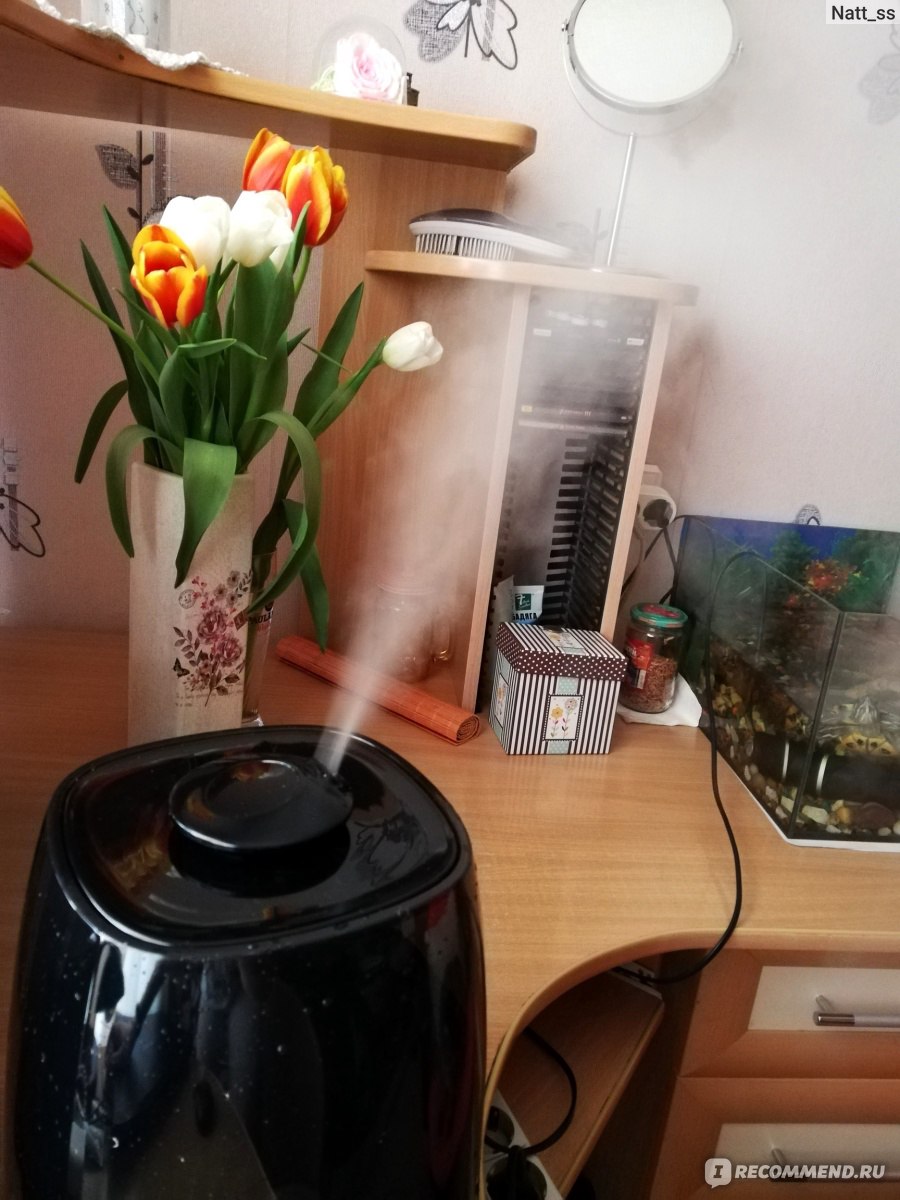 Comment humidifier rapidement l'air sec dans une pièce sans humidificateur