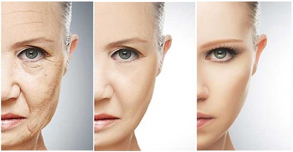 Qu'est-ce qui cause le vieillissement cérébral?