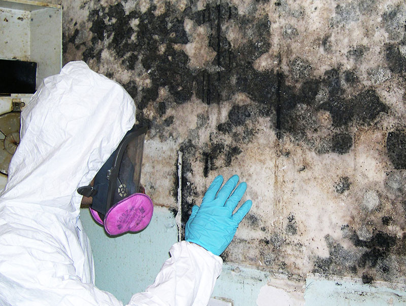 Moisissure noire dans la maison: qu'est-ce qui est dangereux pour la santé humaine et comment y faire face