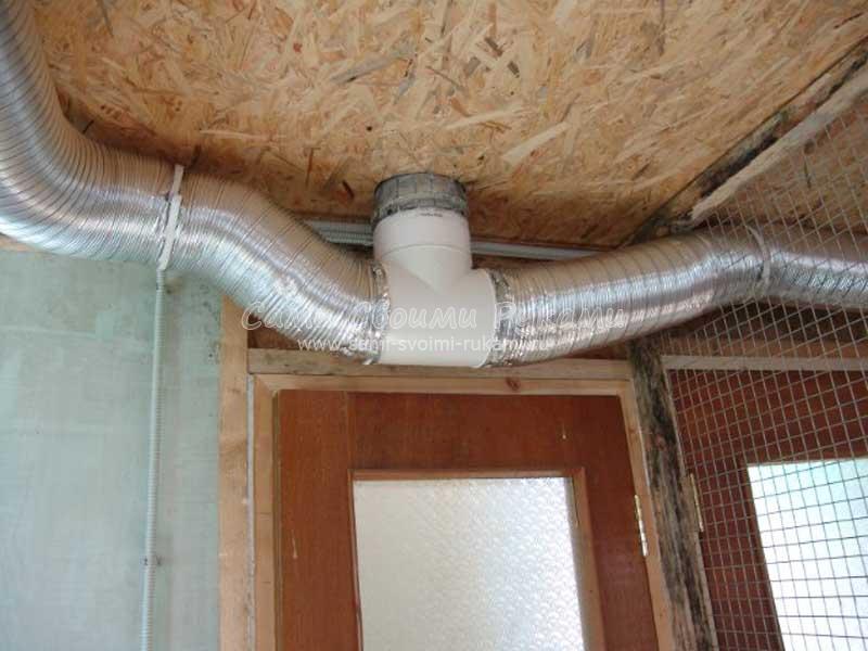Hotte dans le poulailler: astuces d'installation