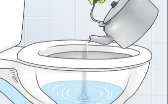 Comment nettoyer les toilettes soi-même : les meilleurs moyens d'éliminer les blocages