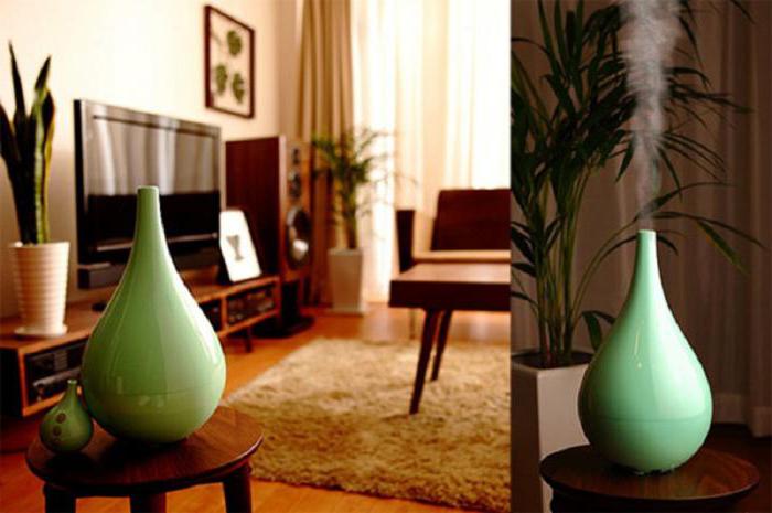 Avez-vous besoin d'un humidificateur dans votre appartement ? Des arguments solides pour et contre
