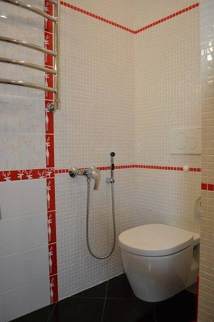 Douche hygiénique pour les toilettes: un aperçu comparatif des conceptions et des nuances d'installation