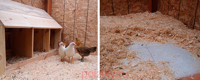 Quel devrait être le sol du poulailler et que vaut-il mieux choisir?
