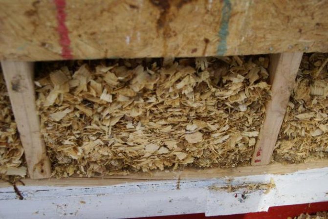 Comment isoler le sol du poulailler pour l'hiver