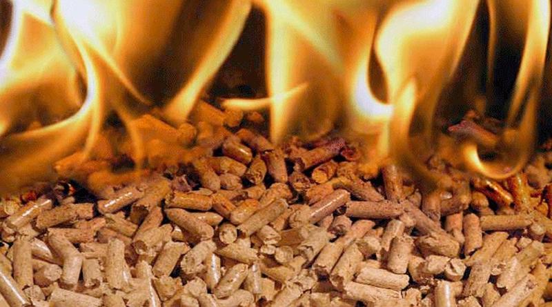 Types de sciure de bois: différences et caractéristiques du chêne, du bouleau, de l'épicéa, de l'aulne, du pin, du hêtre et d'autres espèces de feuillus et de conifères