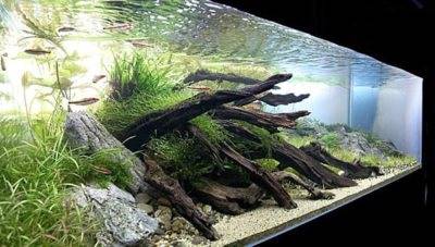 Pourquoi l'eau du puits mousse-t-elle ?