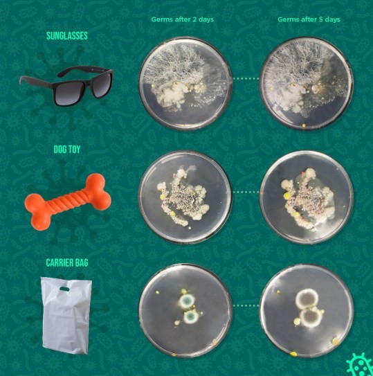 Cinq moyens fiables de se débarrasser des germes et une liste des objets les plus dangereux de la maison