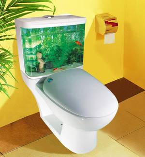 Mécanisme de chasse d'eau: appareil, principe de fonctionnement, aperçu des différentes conceptions