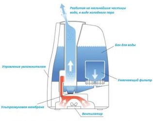 Il n'y a pas de vapeur provenant de l'humidificateur - que faire ? problèmes possibles