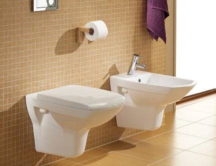 Toilettes de campagne: un aperçu des types de modèles de jardin pour une toilette de campagne et les caractéristiques de leur installation