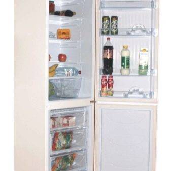 Réfrigérateurs "Don": critiques, revue des 5 meilleurs modèles, recommandations pour choisir