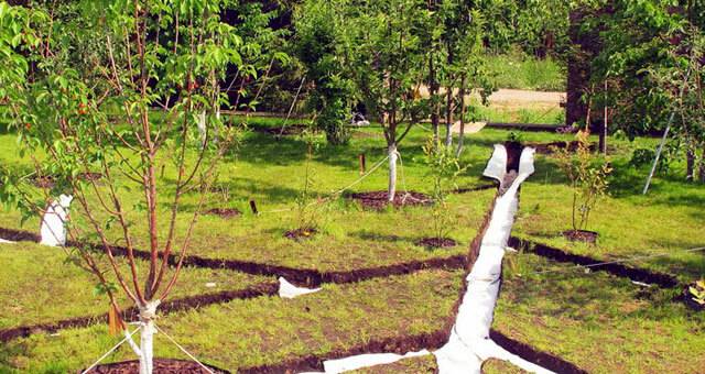 Comment faire le drainage d'une parcelle de jardin de vos propres mains: analyse de la technologie d'aménagement