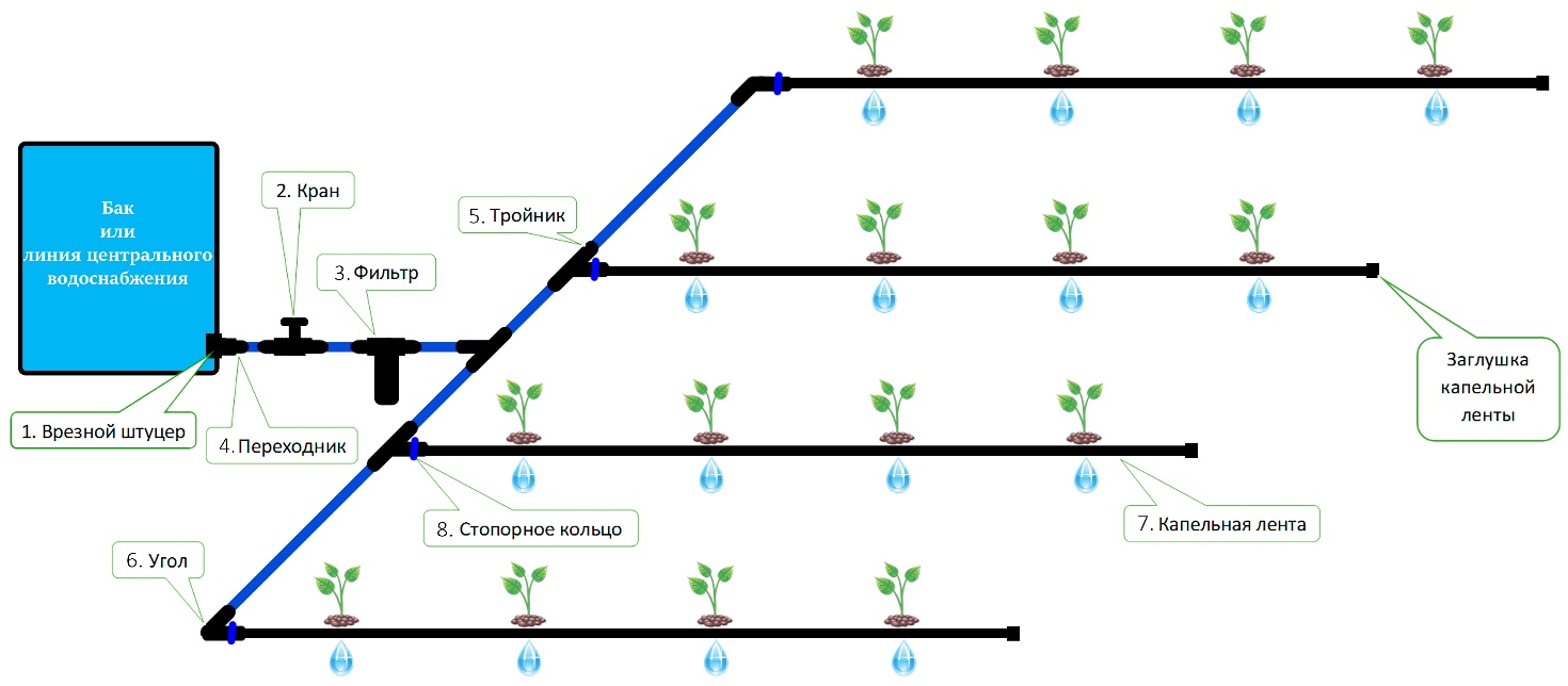 Irrigation goutte à goutte dans une serre: comment le faire soi-même, les avantages d'un système d'irrigation goutte à goutte, l'irrigation à partir d'un baril et de bouteilles en plastique