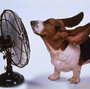 Taux de renouvellement d'air dans différentes pièces + exemples de calculs