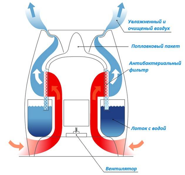 Quel humidificateur est le meilleur - à vapeur ou à ultrasons ? Comparaison de deux types d'humidificateurs