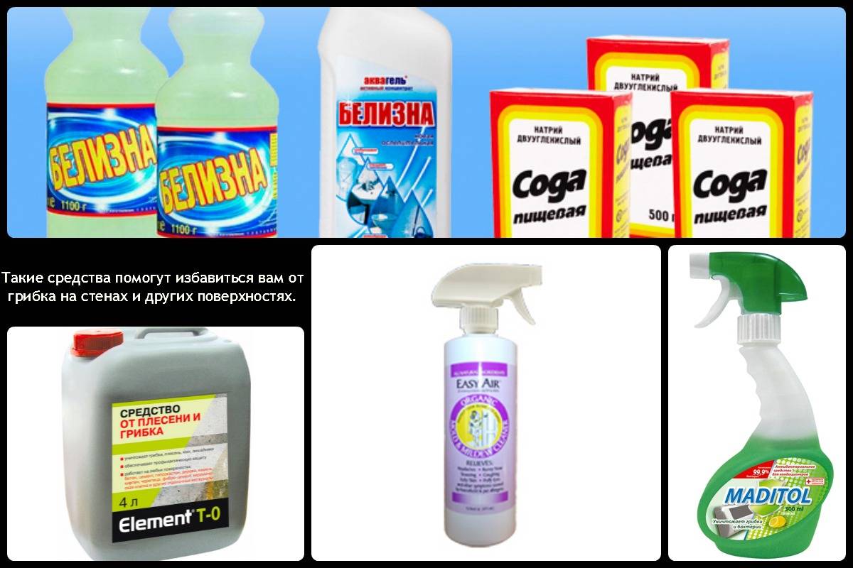 Traitement du bois contre les champignons et moisissures