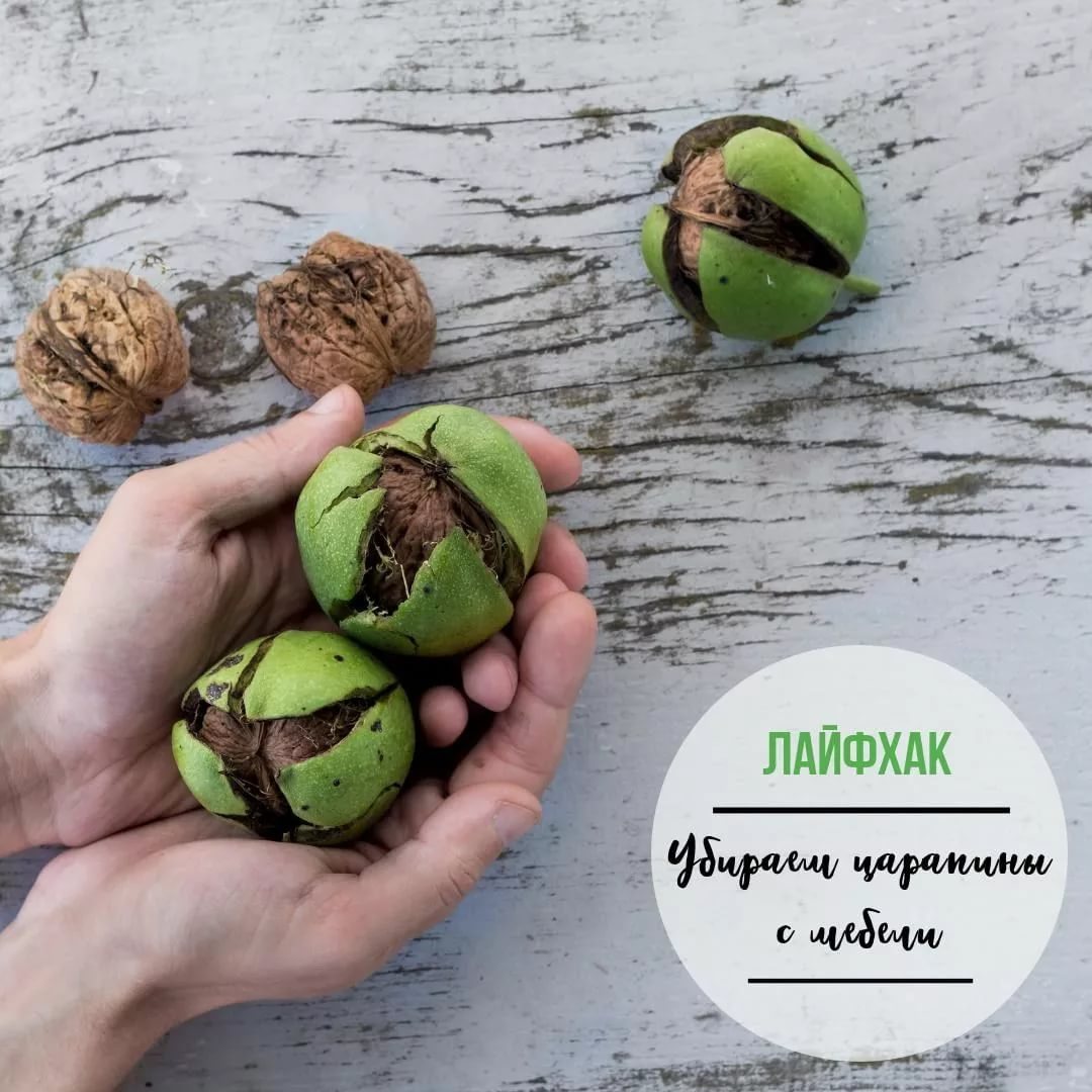 Comment peindre des rayures sur des meubles en bois ? -papa carlo