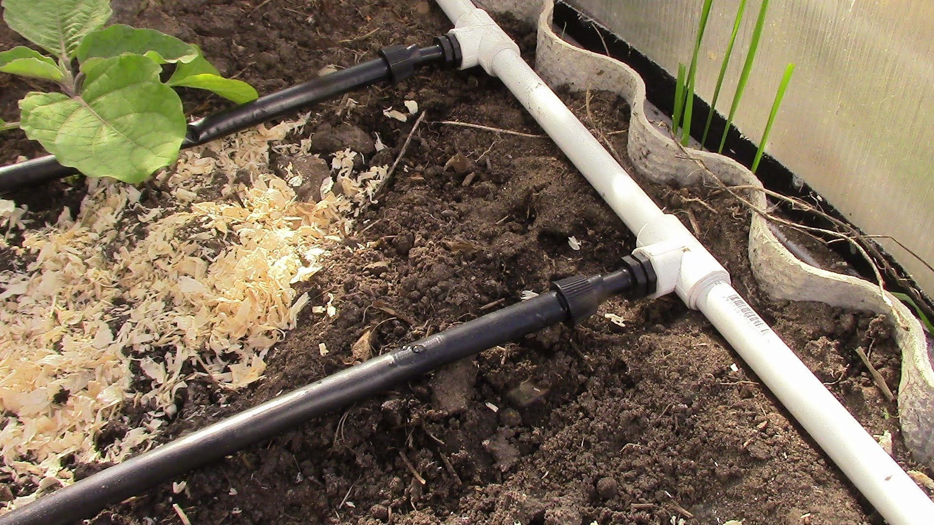 Irrigation goutte à goutte éternelle dans la serre avec vos propres mains