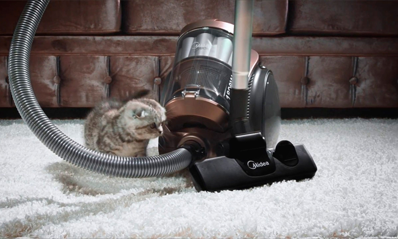 Classement des aspirateurs cyclones : revue de dizaines de modèles + conseils aux acheteurs d'un "cyclone"