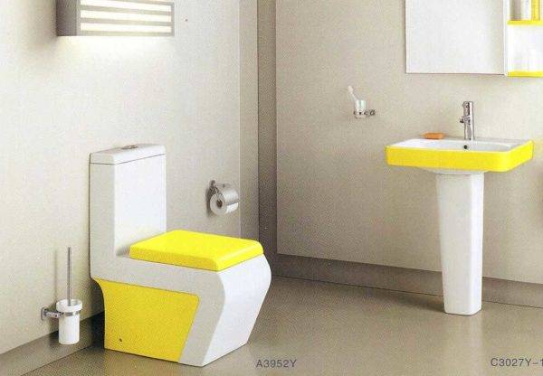 Types de cuvettes de toilettes par caractéristiques techniques et design