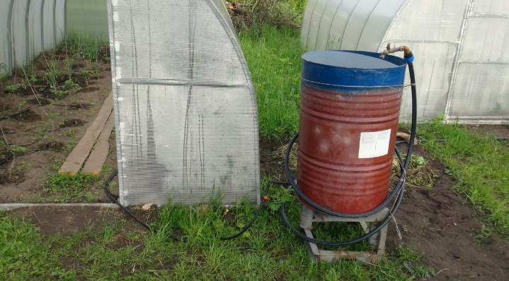 Comment faire un système d'irrigation goutte à goutte pour les arbres?