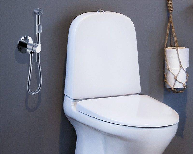 Installation d'une douche hygiénique pour une cuvette de toilettes: options d'installation et exemple de travail