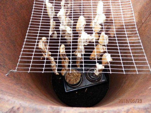 Générateur de fumée à faire soi-même pour un fumoir : options de générateur de fumée et instructions de montage étape par étape