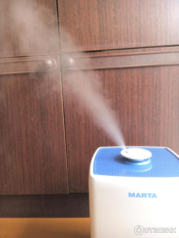 Classement des purificateurs et humidificateurs d'air pour la maison : avantages et critères de choix