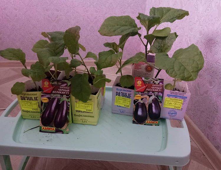 5 règles pour éviter le désordre à la maison