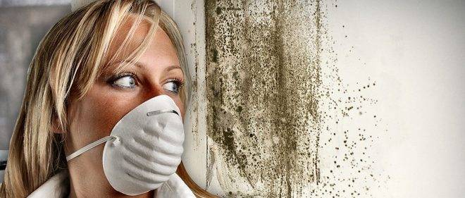 Nettoyage des conduits de ventilation : méthodes et procédure efficaces pour nettoyer le conduit de ventilation