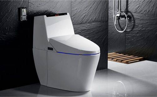 Housses de bidet électroniques : conseils pour choisir et tour d'horizon des meilleurs fabricants
