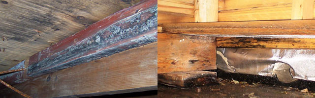 Nettoyant mural antifongique : un aperçu comparatif des meilleures options