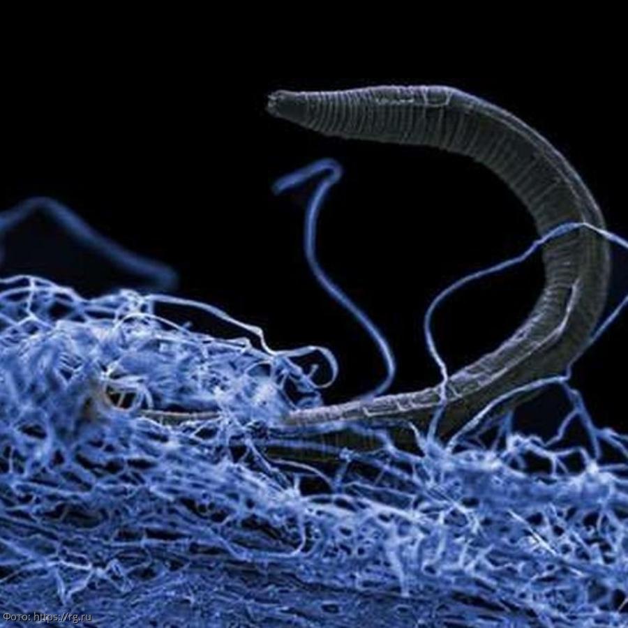 Toutes vos tentatives pour vous protéger des germes n'ont aucun sens