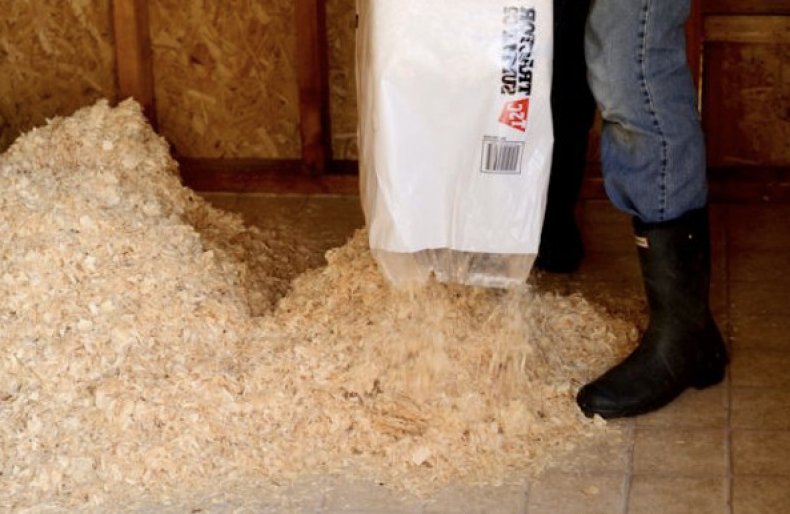 Chauffer un poulailler en hiver: méthodes d'isolation naturelle et artificielle