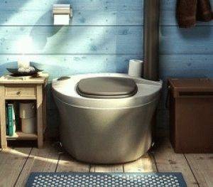 Comment nettoyer un placard sec: caractéristiques du nettoyage des types de tourbe et de liquide des placards secs