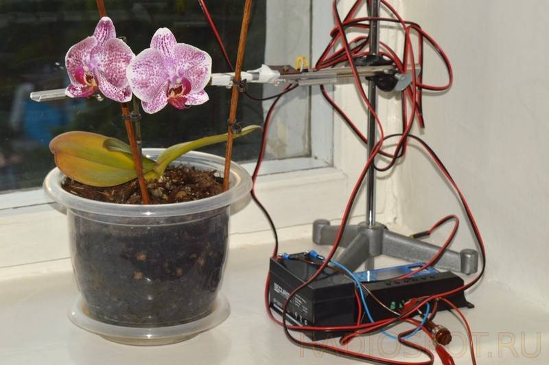 Régulateur de charge de batterie solaire : schéma, principe de fonctionnement, méthodes de connexion