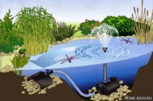 Pompes pour fontaines et cascades : comment choisir la bonne et l'installer soi-même