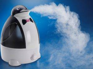 Humidificateur à ultrasons : avantages et inconvénients, recommandations pour les acheteurs