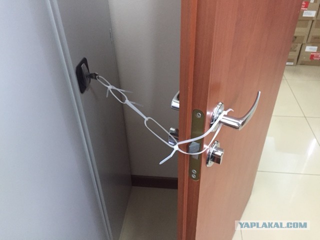 Options d'utilisation d'attaches en plastique que vous ne connaissiez pas