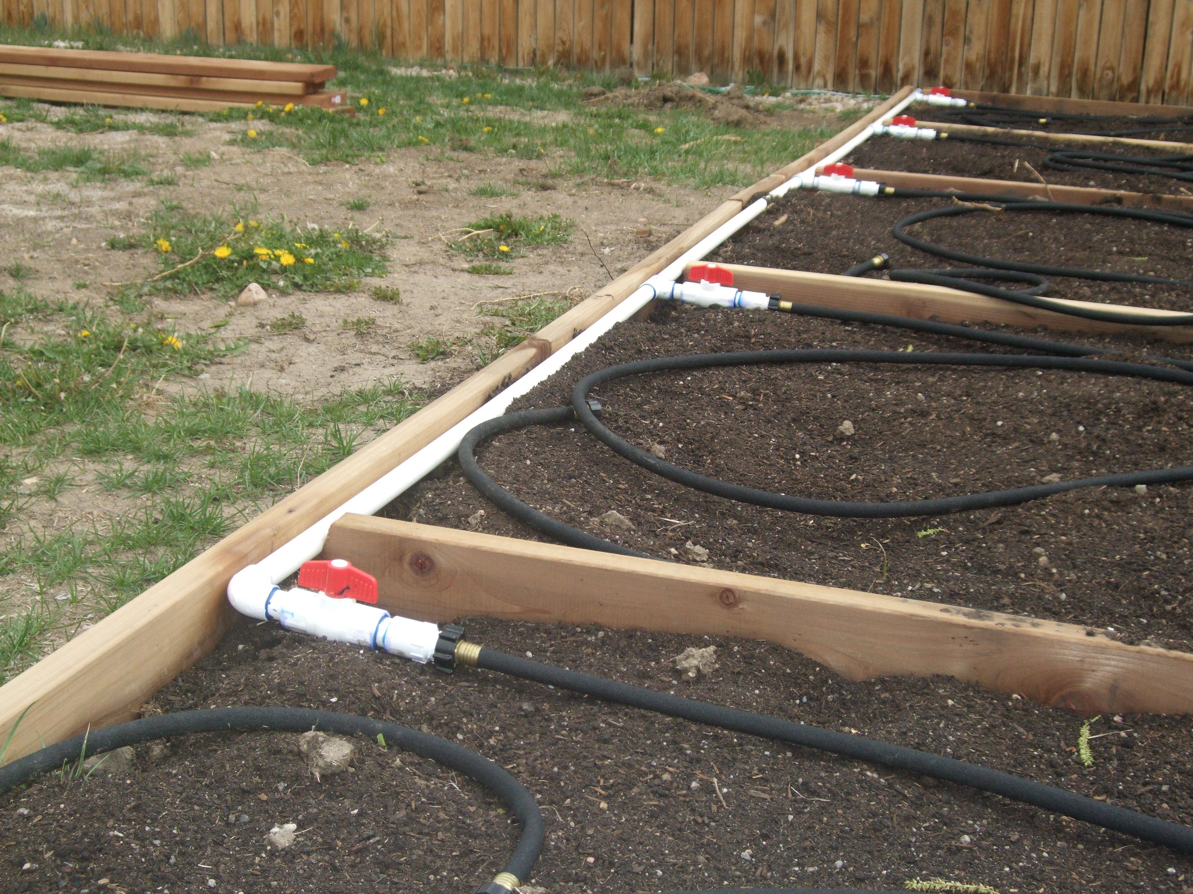 Système d'irrigation à faire soi-même - 2 meilleures options !